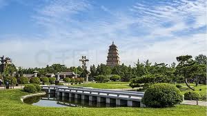 FIFA2026官方网站入口 台州园林绿化工程施工公司
