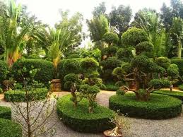 园林绿化工程水生植物施工工艺